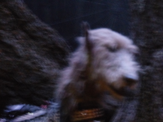 P1070629 (08-21-2017 12:15)