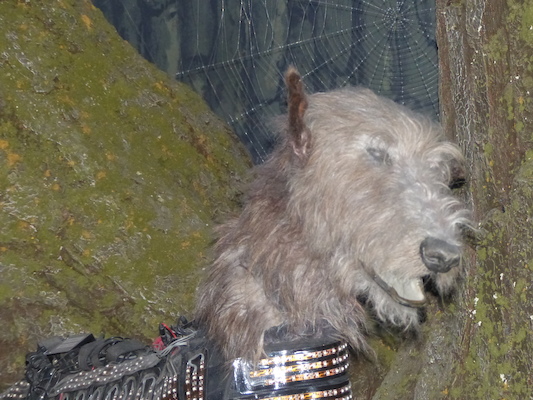 P1070630 (08-21-2017 12:15)