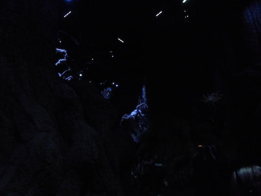 P1070631 (08-21-2017 12:16)