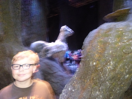 P1070633 (08-21-2017 12:16)