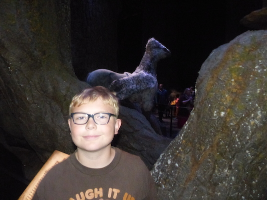 P1070634 (08-21-2017 12:16)