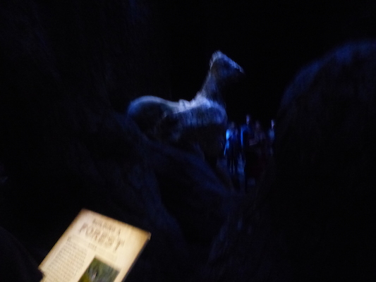 P1070635 (08-21-2017 12:16)