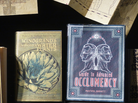 P1070648 (08-21-2017 12:22)