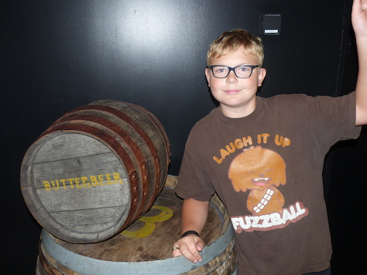 P1070663 (08-21-2017 12:25)