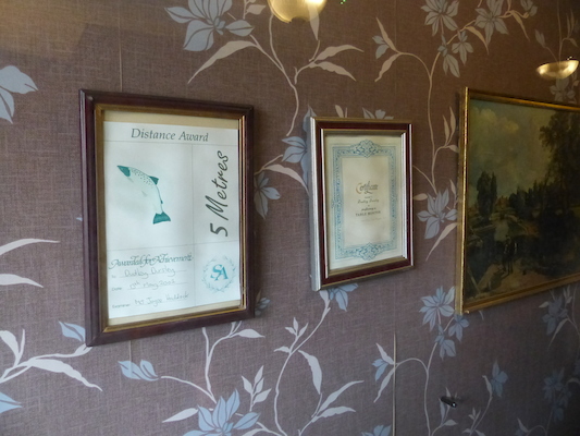 P1070677 (08-21-2017 12:52)