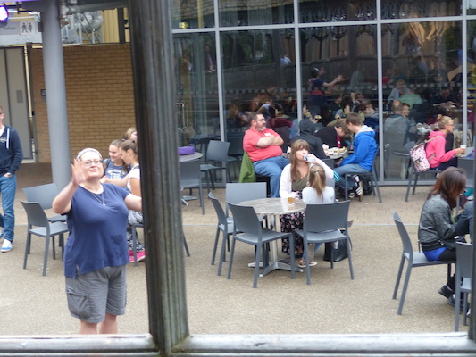 P1070683 (08-21-2017 12:54)