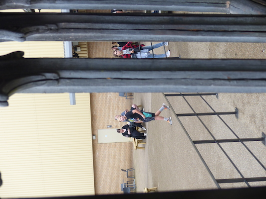 P1070684 (08-21-2017 12:55)