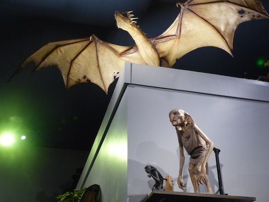 P1070696 (08-21-2017 13:01)