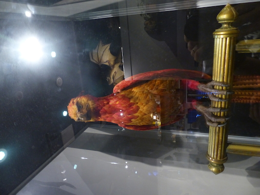 P1070709 (08-21-2017 13:06)