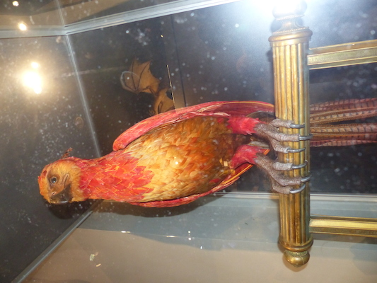 P1070710 (08-21-2017 13:06)