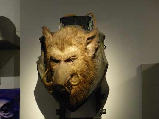 P1070716 (08-21-2017 13:09)