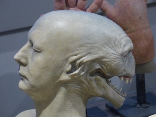 P1070722 (08-21-2017 13:10)