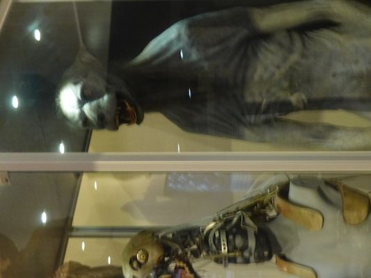 P1070724 (08-21-2017 13:11)