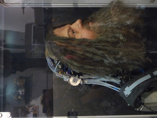 P1070725 (08-21-2017 13:11)