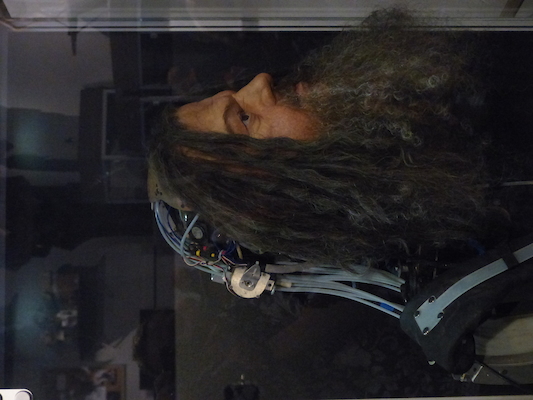 P1070726 (08-21-2017 13:11)