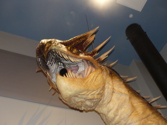 P1070727 (08-21-2017 13:12)