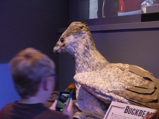 P1070728 (08-21-2017 13:14)