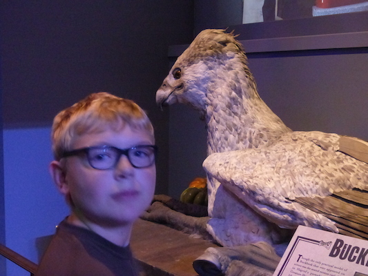 P1070730 (08-21-2017 13:14)