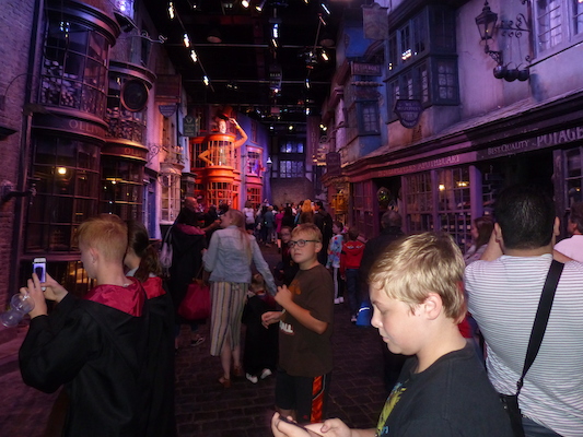 P1070733 (08-21-2017 13:16)