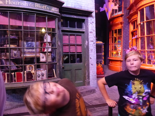 P1070741 (08-21-2017 13:18)