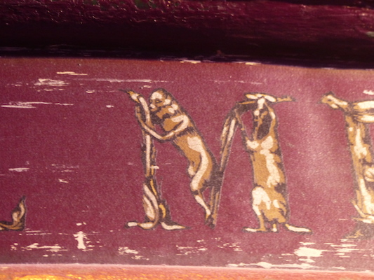 P1070748 (08-21-2017 13:20)