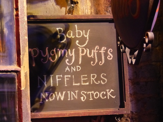 P1070749 (08-21-2017 13:20)