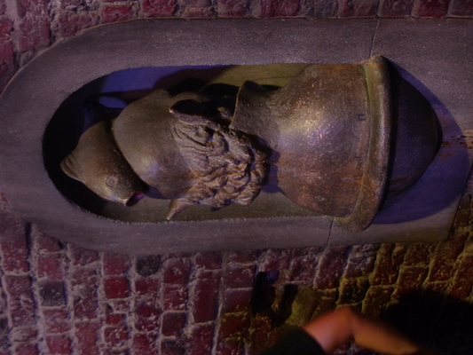 P1070751 (08-21-2017 13:21)