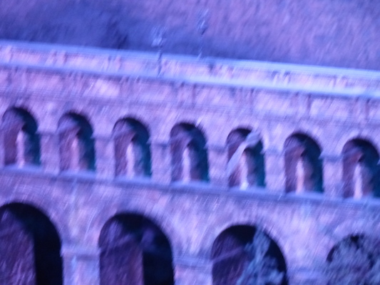 P1070769 (08-21-2017 13:30)