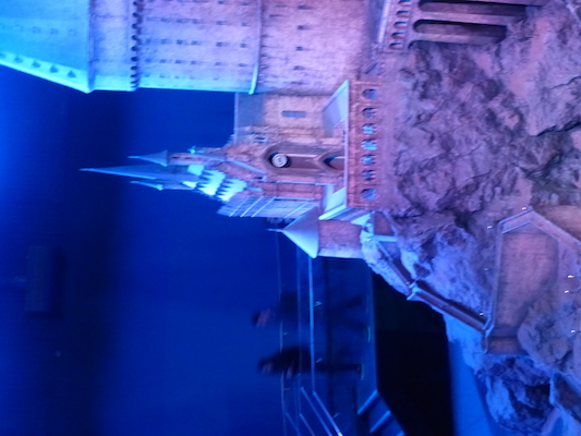 P1070772 (08-21-2017 13:30)