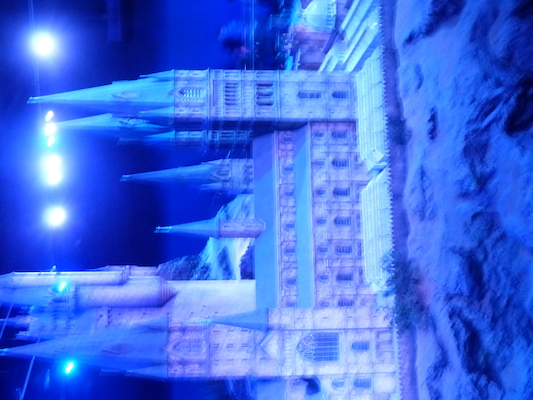 P1070775 (08-21-2017 13:31)