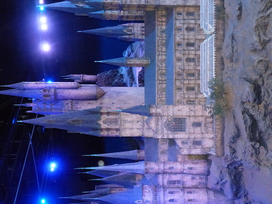 P1070776 (08-21-2017 13:31)