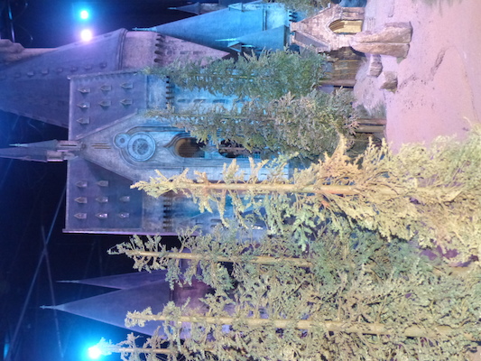 P1070782 (08-21-2017 13:34)