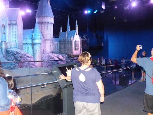 P1070783 (08-21-2017 13:35)