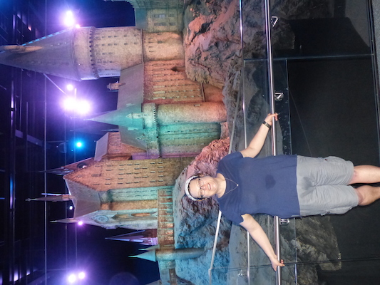 P1070784 (08-21-2017 13:35)