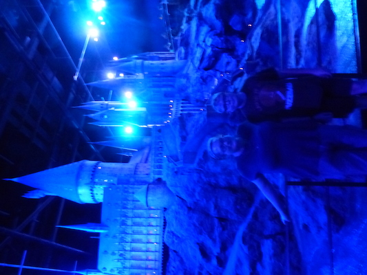 P1070785 (08-21-2017 13:37)