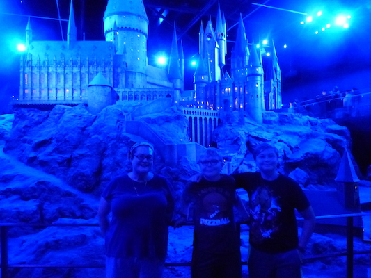 P1070788 (08-21-2017 13:37)