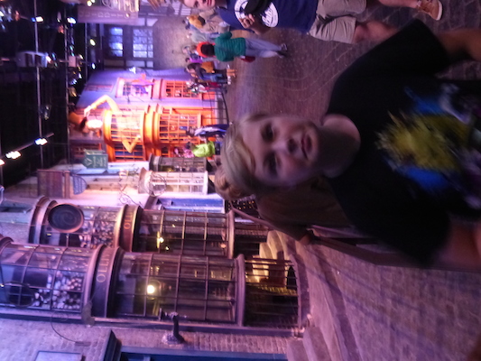 P1070794 (08-21-2017 15:16)