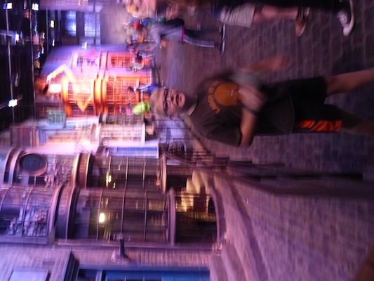 P1070795 (08-21-2017 15:16)