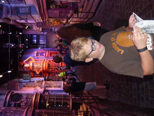 P1070796 (08-21-2017 15:16)