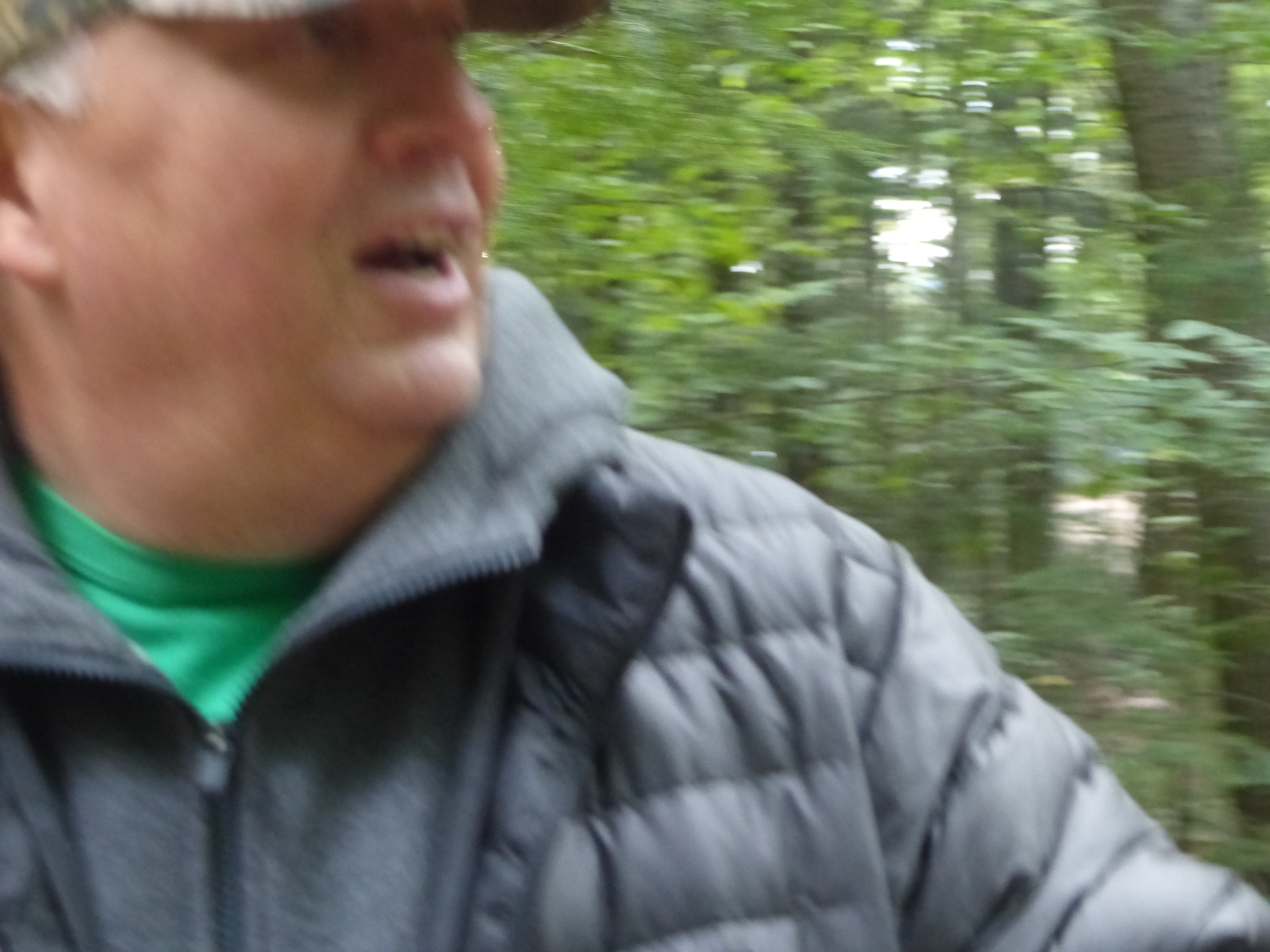 P1070815 (09-09-2017 15:09)