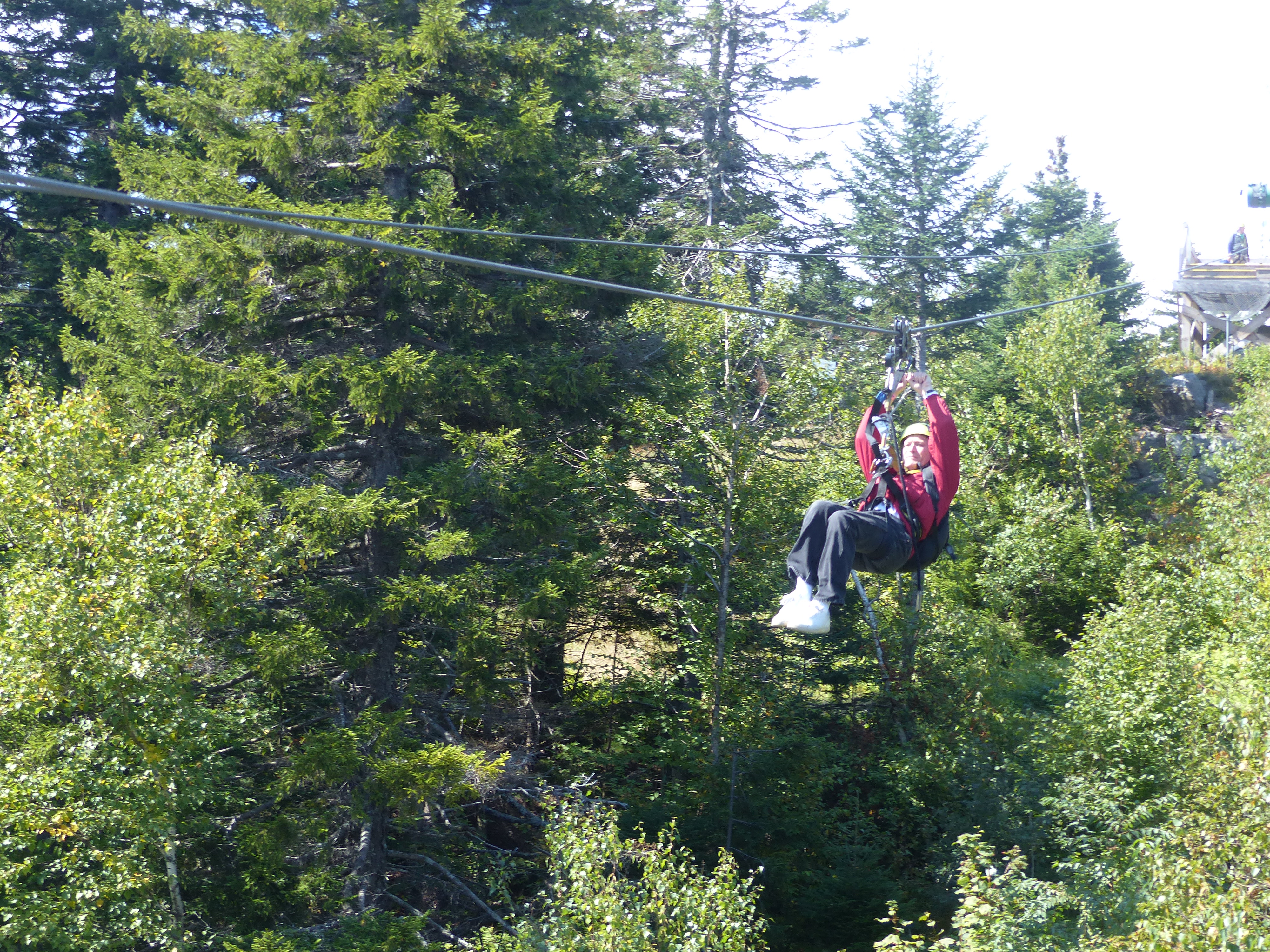 P1070826 (09-09-2017 16:47)