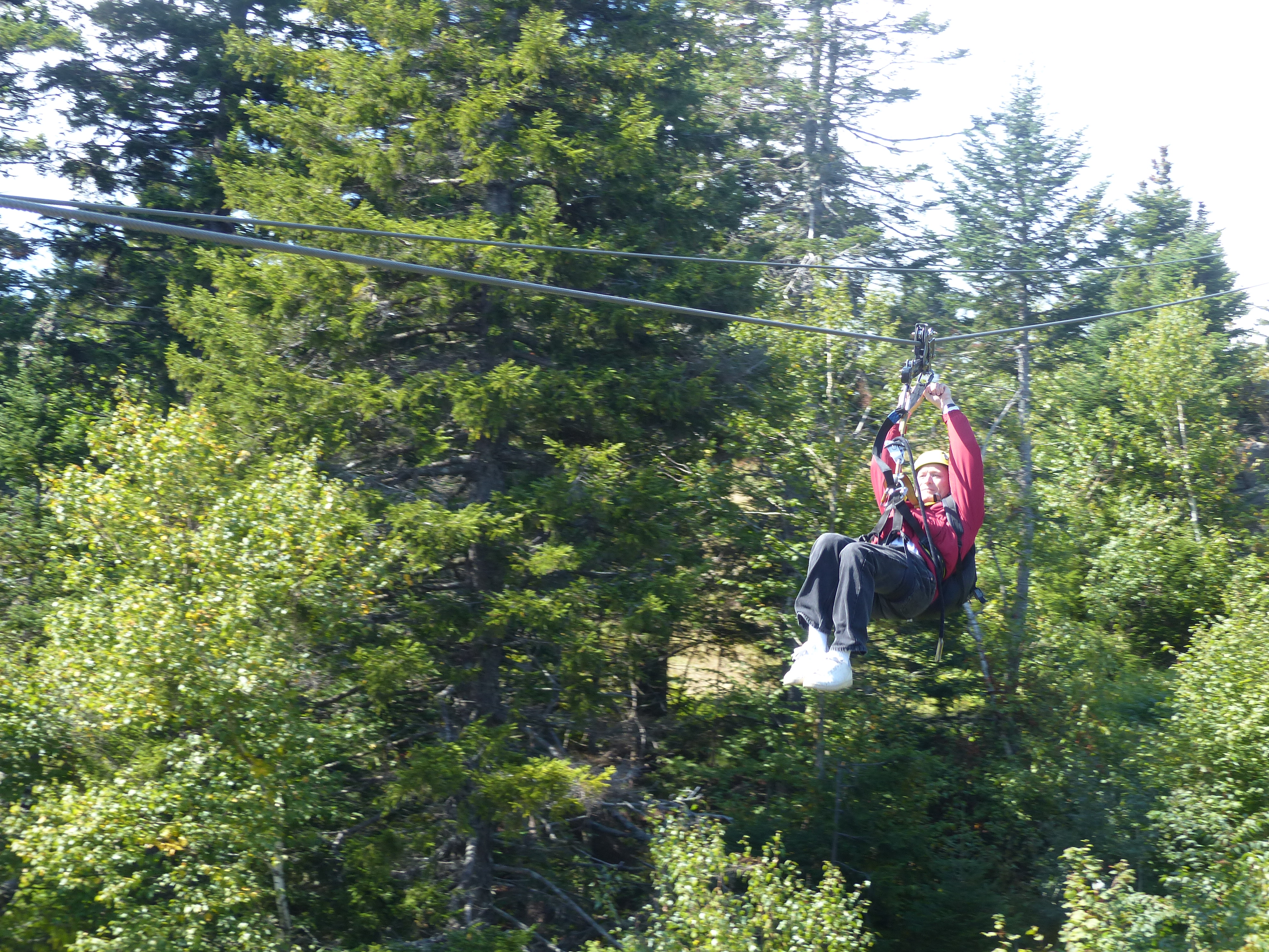 P1070827 (09-09-2017 16:47)