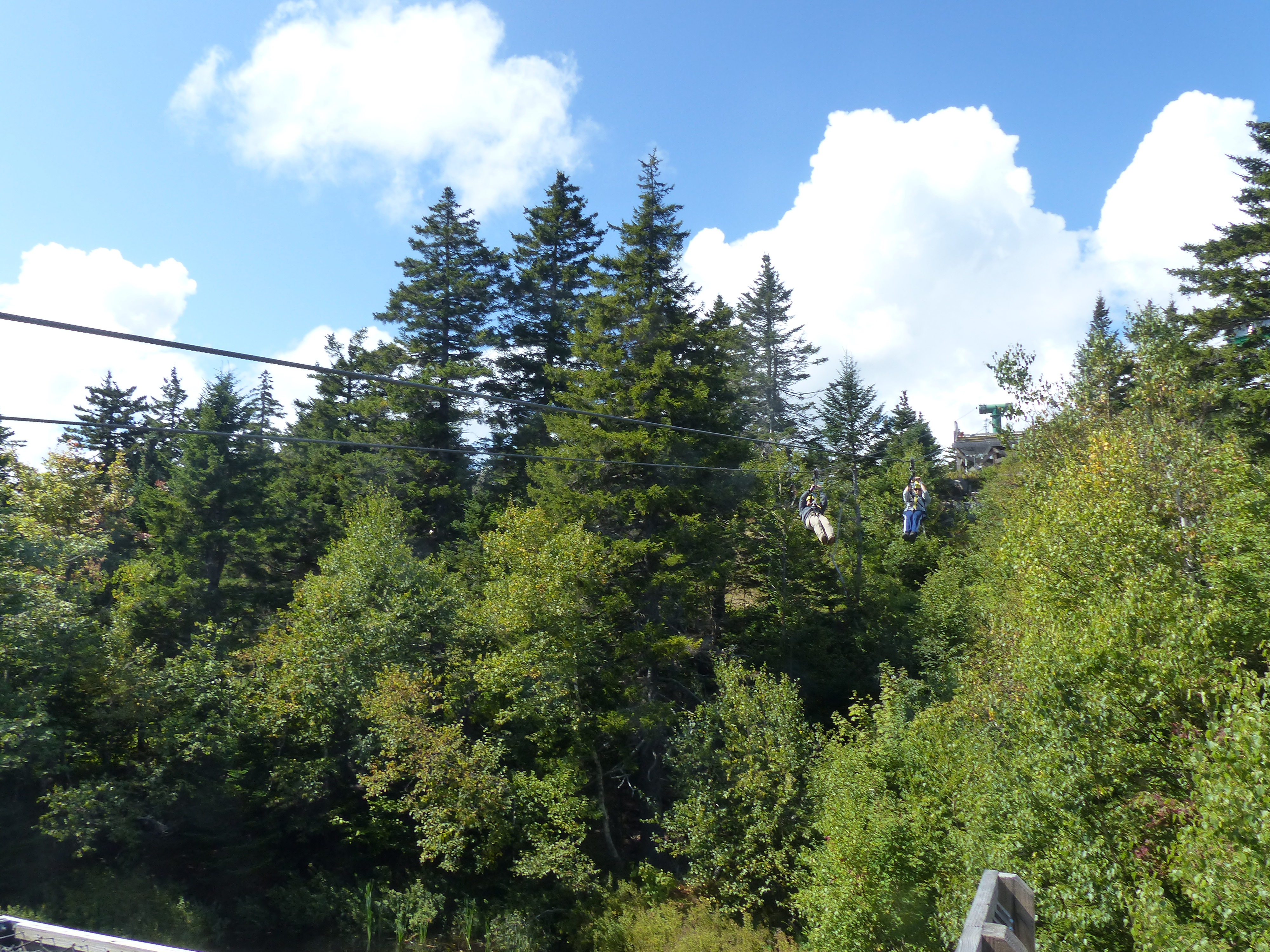 P1070832 (09-09-2017 16:48)