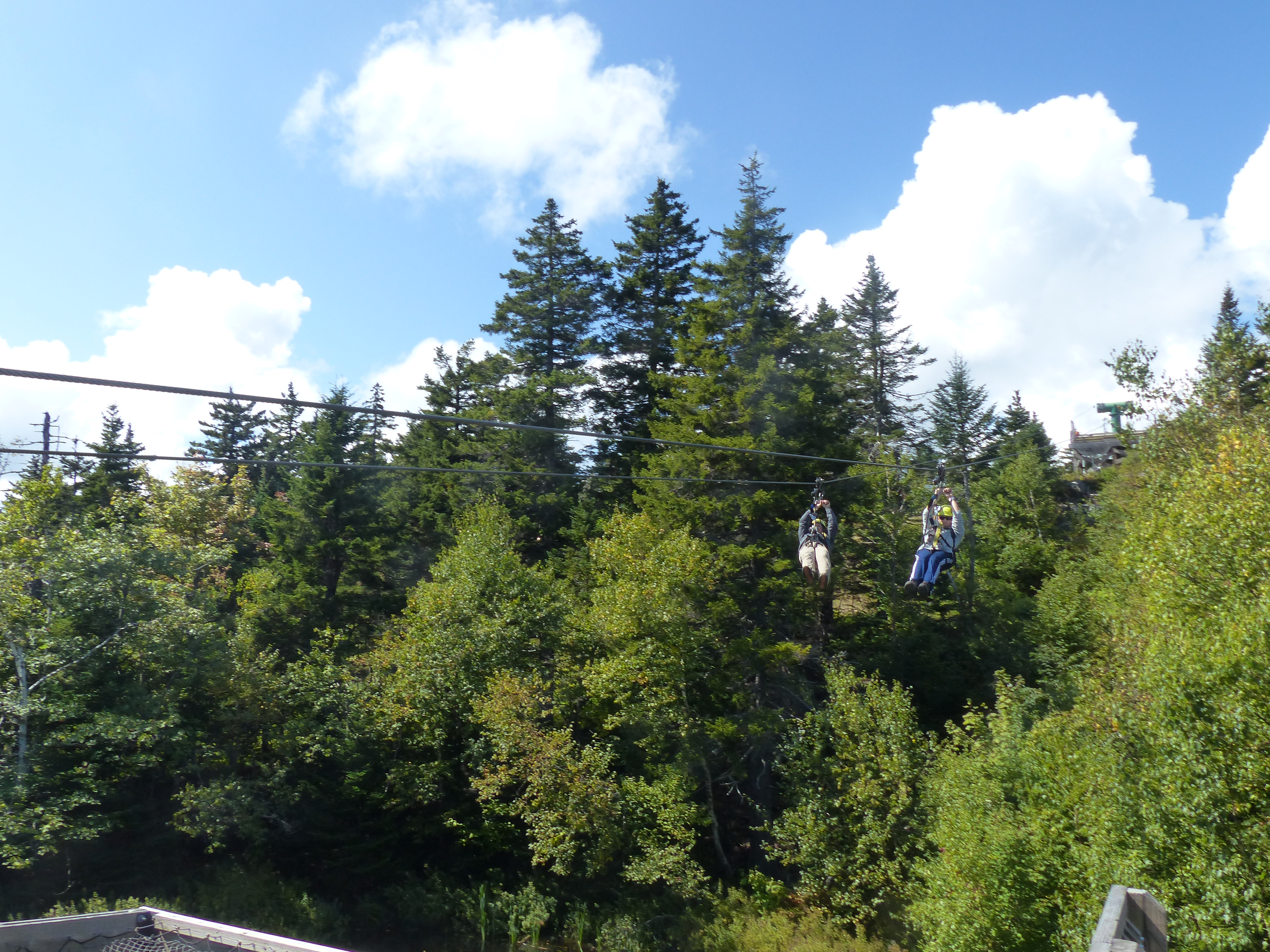 P1070833 (09-09-2017 16:48)