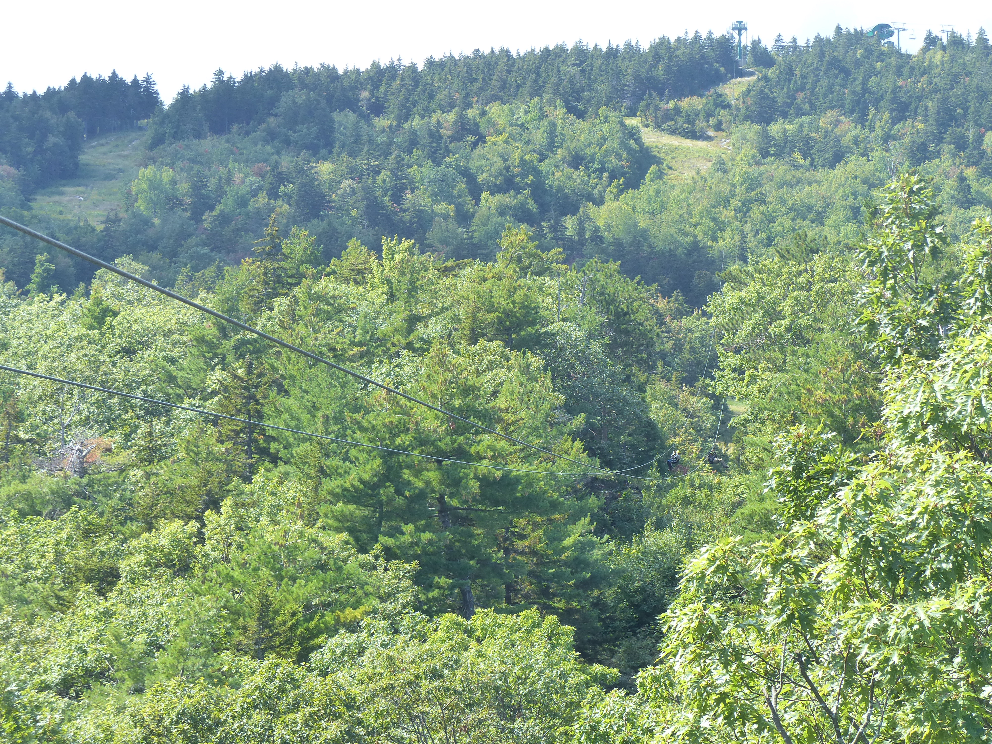 P1070839 (09-09-2017 17:02)