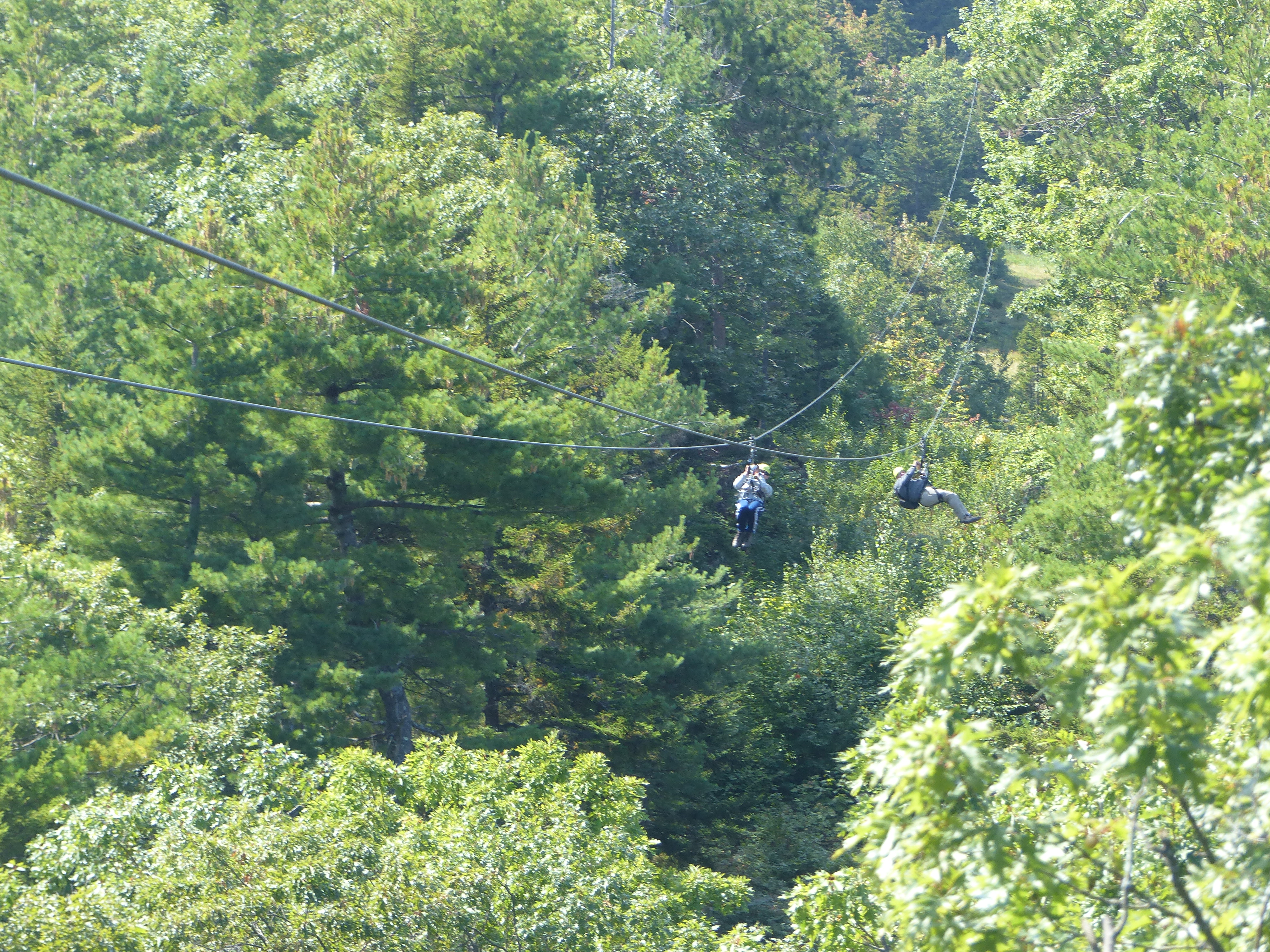 P1070840 (09-09-2017 17:02)