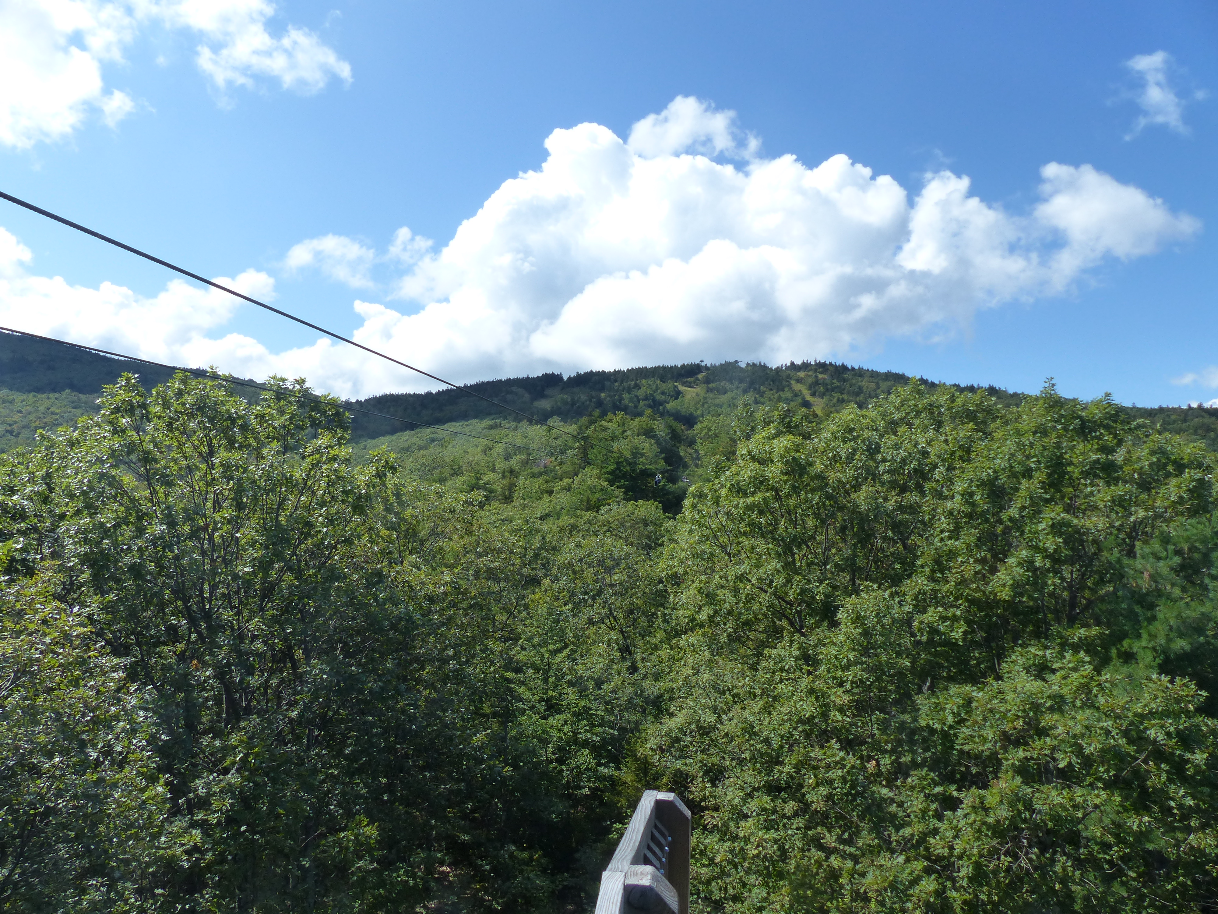 P1070841 (09-09-2017 17:02)