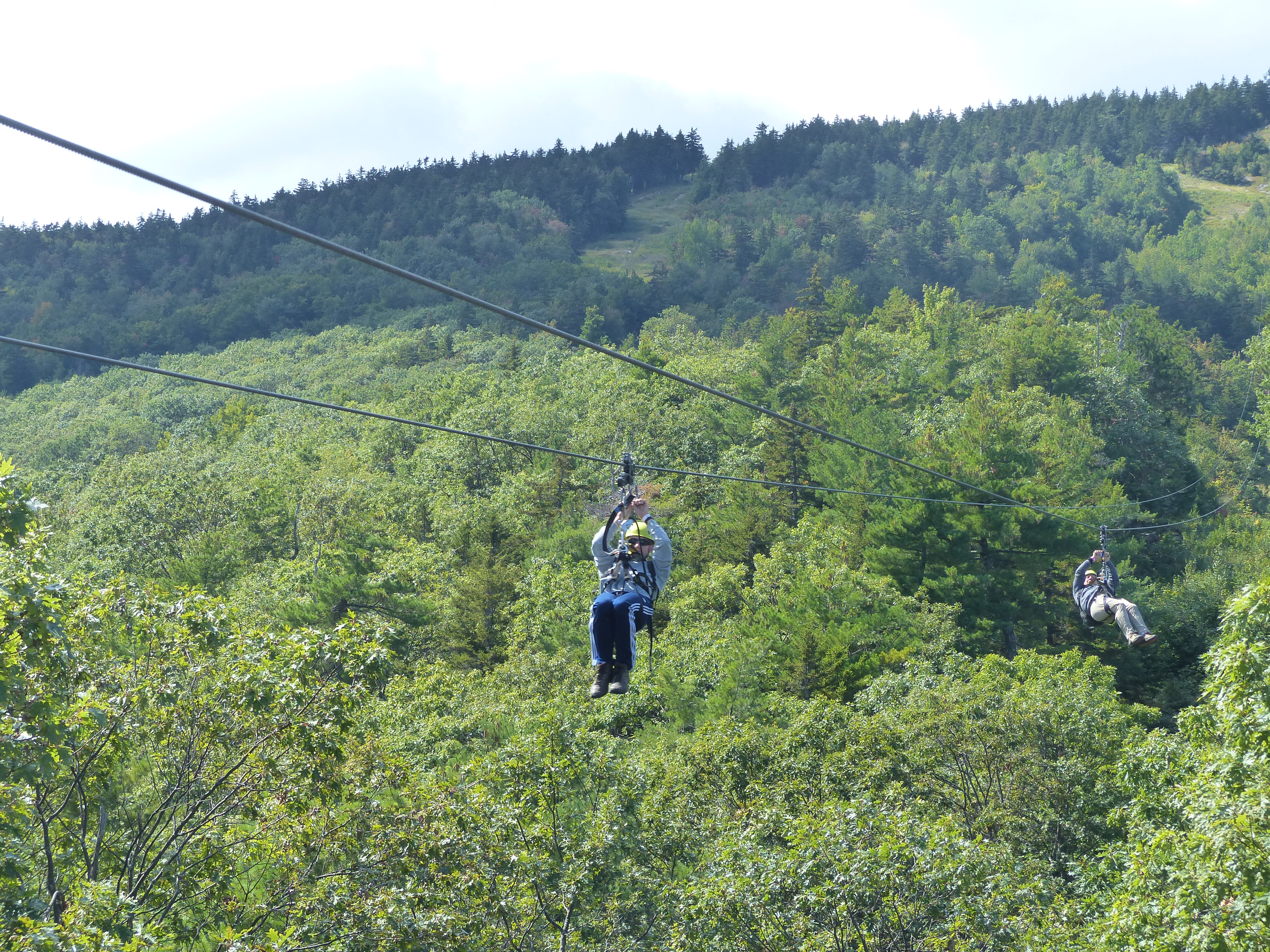 P1070842 (09-09-2017 17:03)