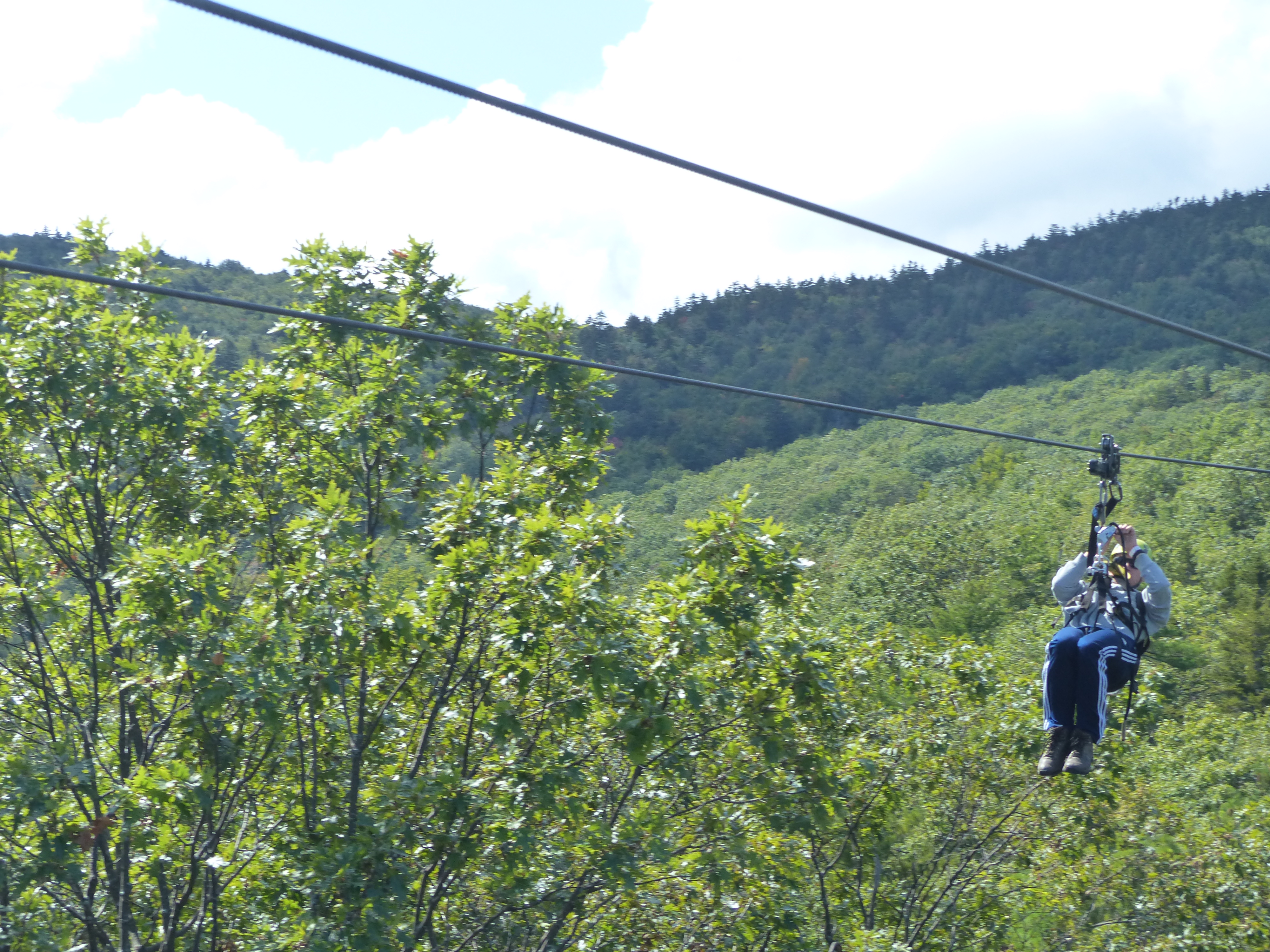 P1070843 (09-09-2017 17:03)