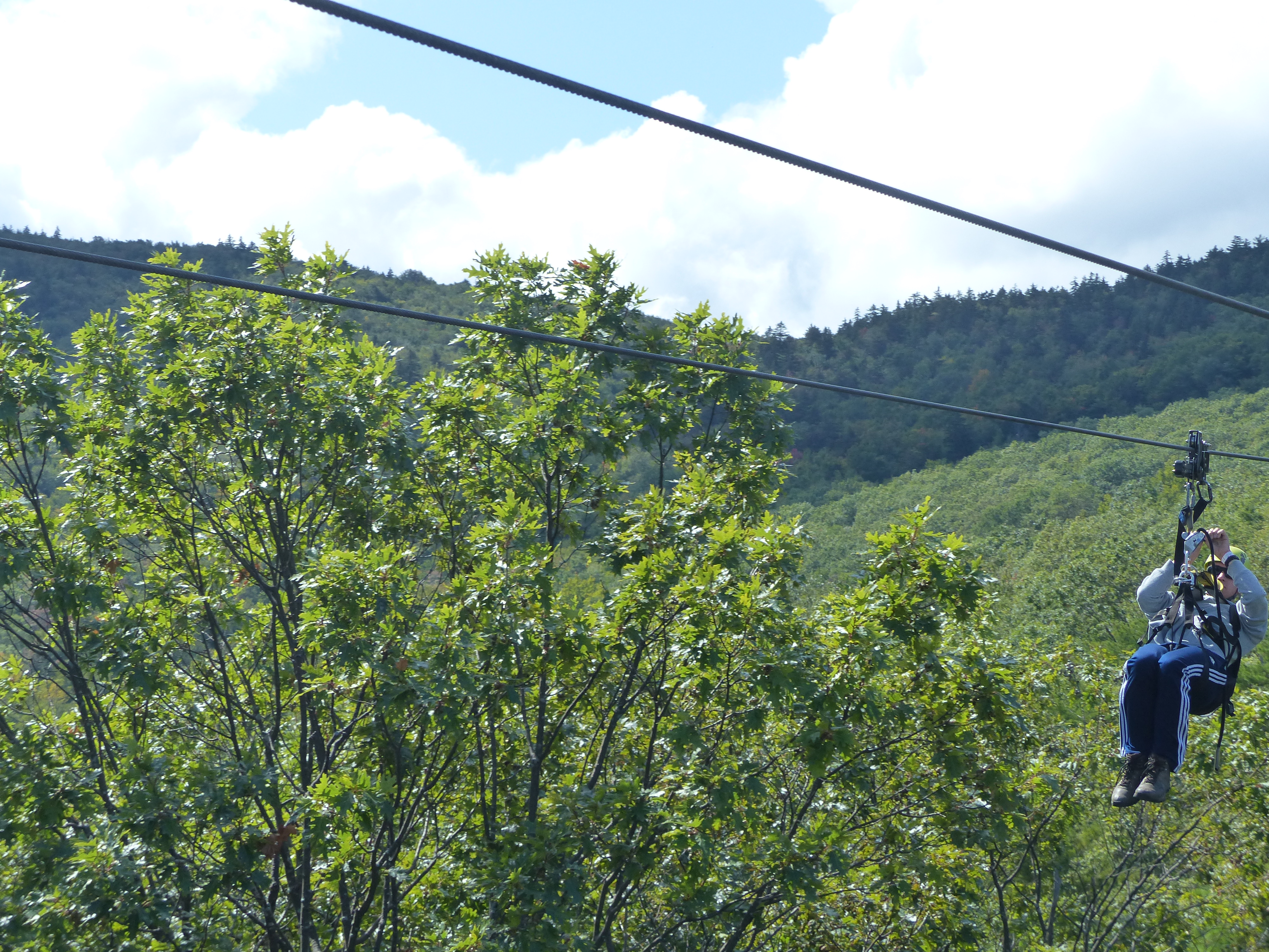 P1070844 (09-09-2017 17:03)